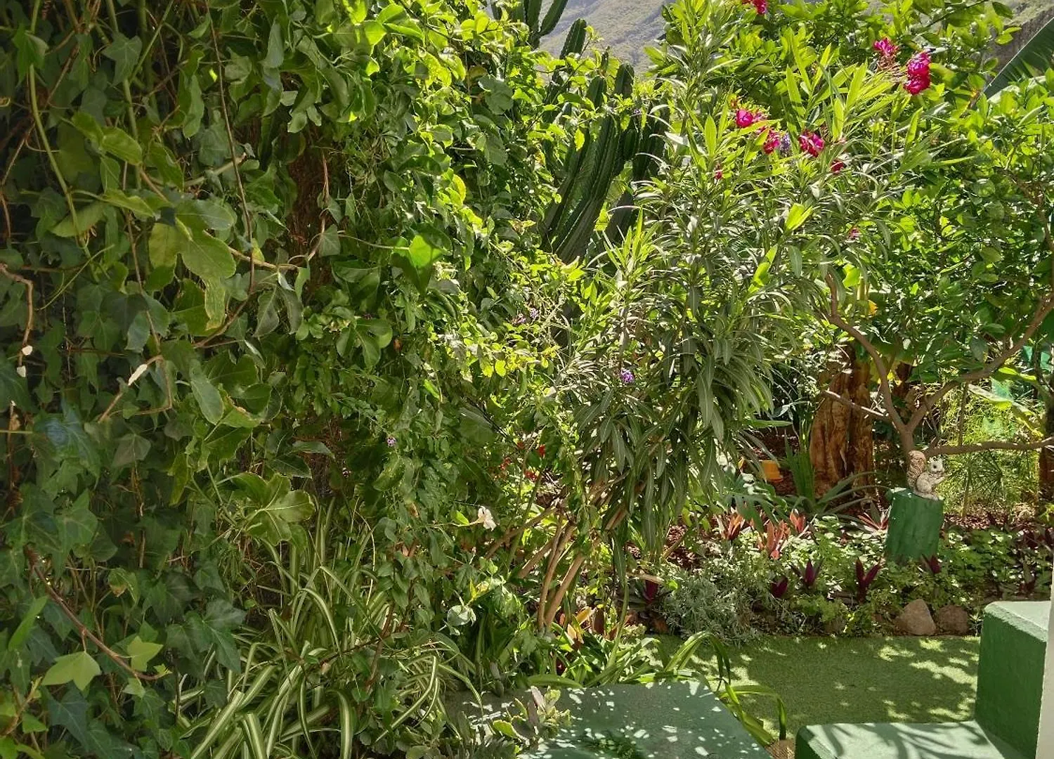 Casita Con Jardin Διαμέρισμα Garachico   Garachico (Tenerife)